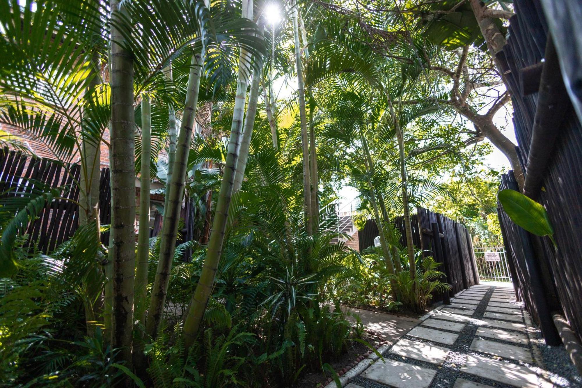 Appartement Little Eden Saint Lucia Estuary Extérieur photo