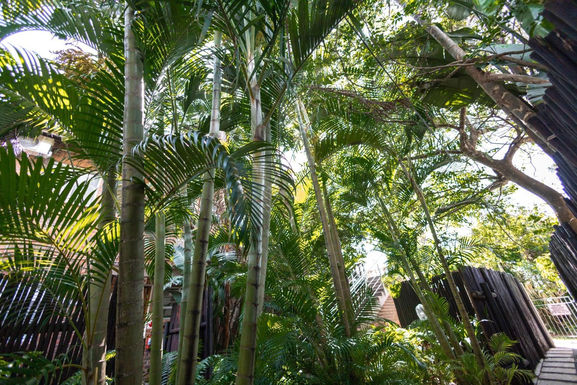 Appartement Little Eden Saint Lucia Estuary Extérieur photo